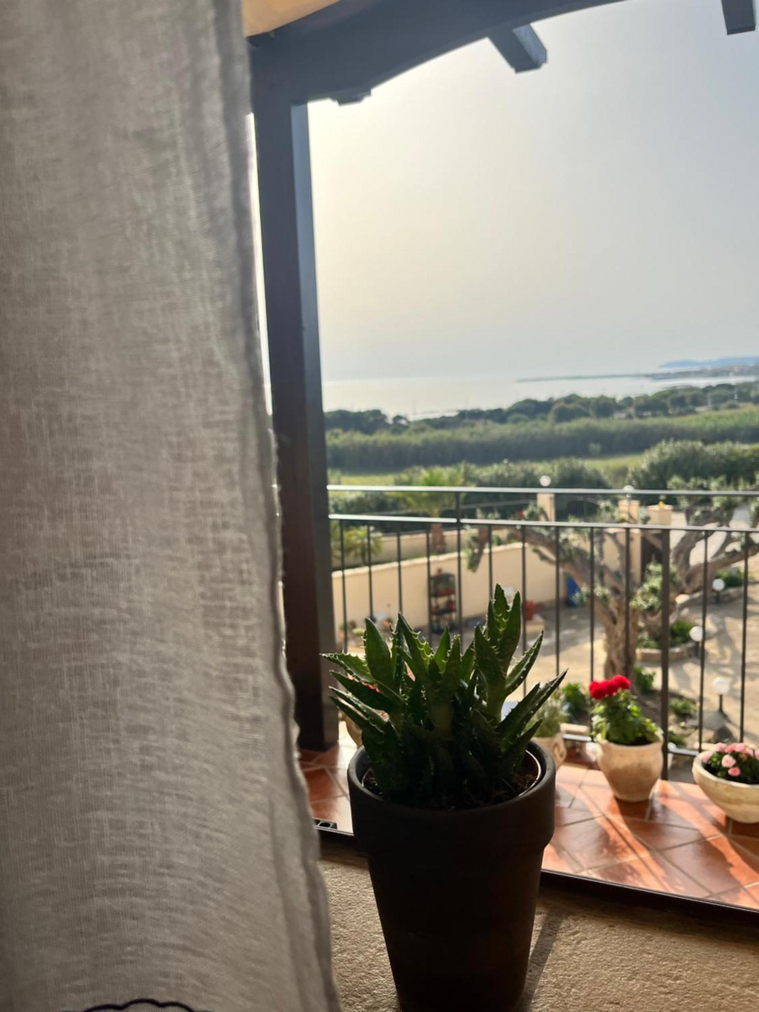 Domus Mare Luxury Apartment San Leone Luaran gambar