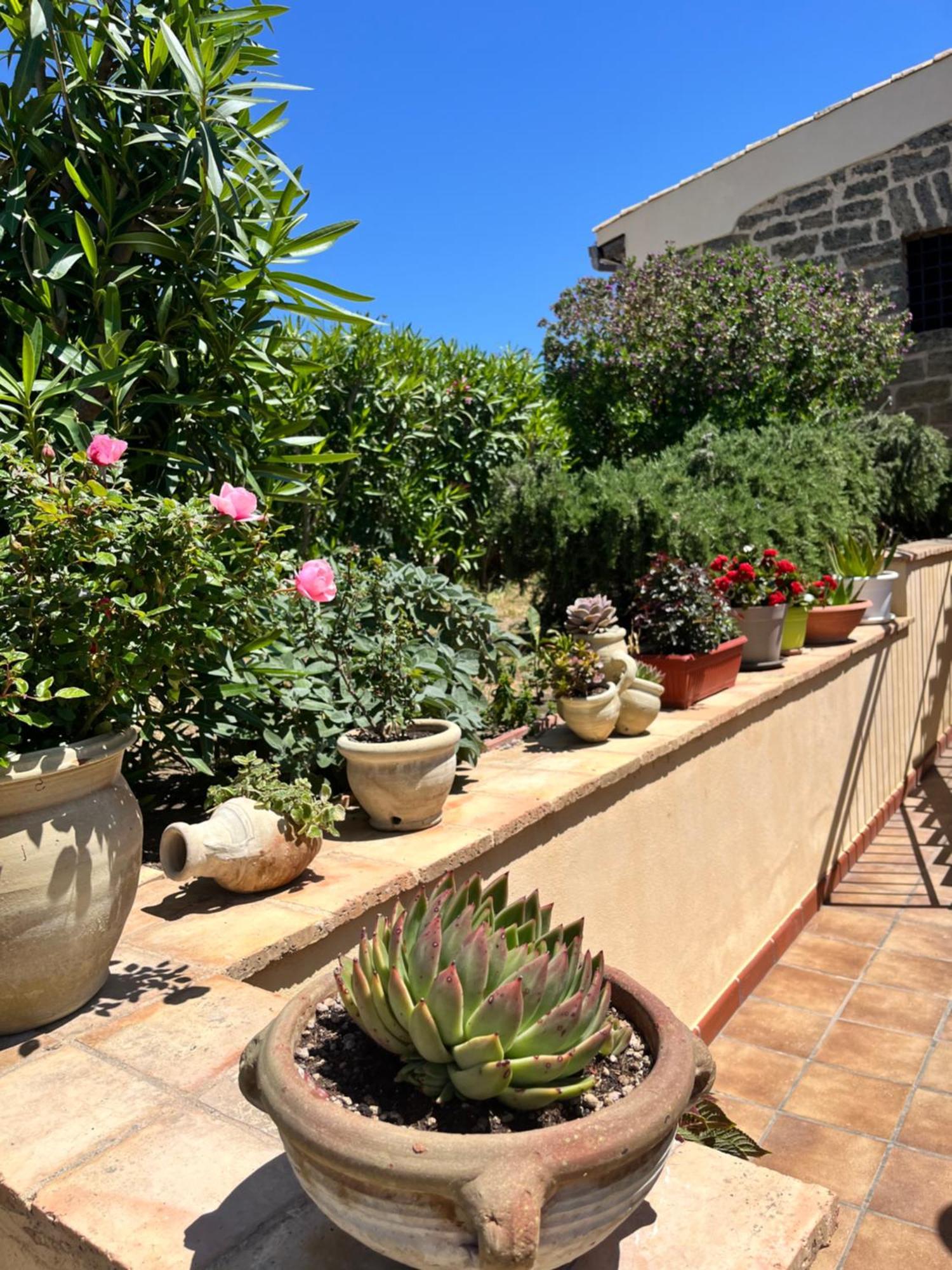 Domus Mare Luxury Apartment San Leone Luaran gambar